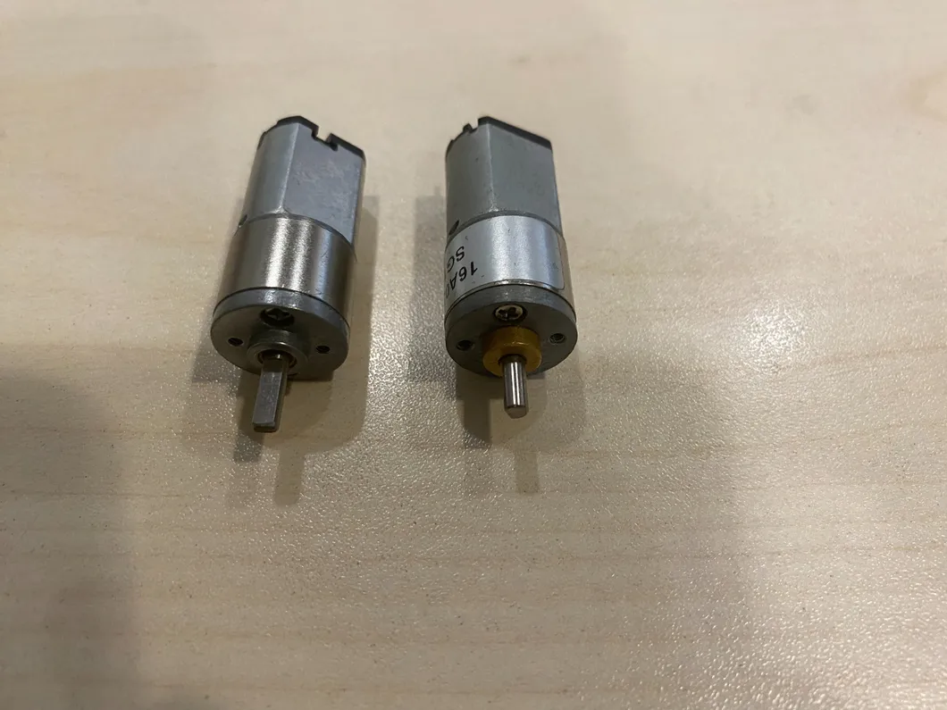 Pm DC Spur Gear Motor