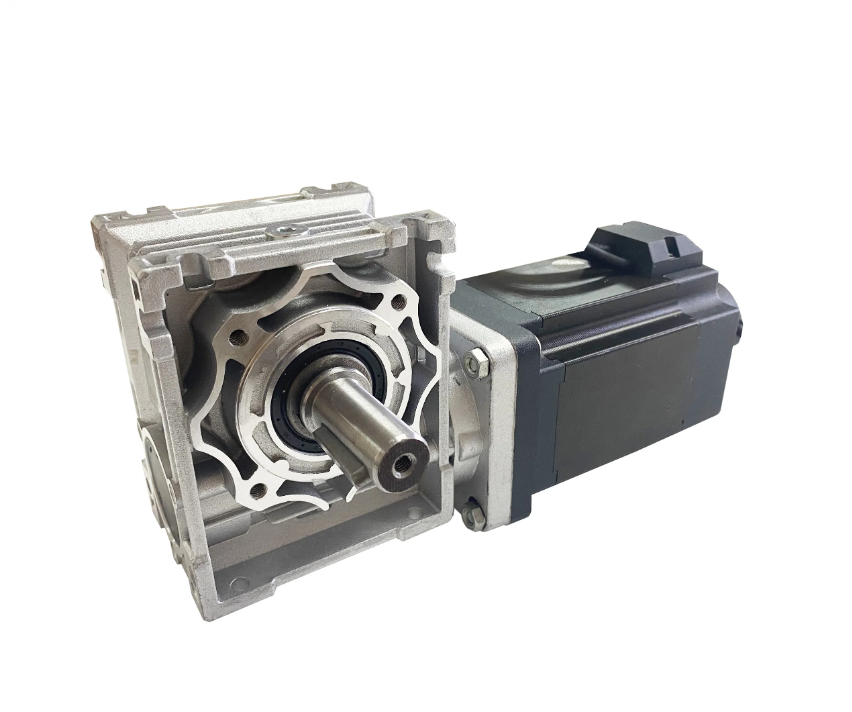 12V 24V 48V Rated Volt 3000rpm BLDC Worm Gear Motor for Home Appliance and Cosmetic Instrument Machine Motor Factory