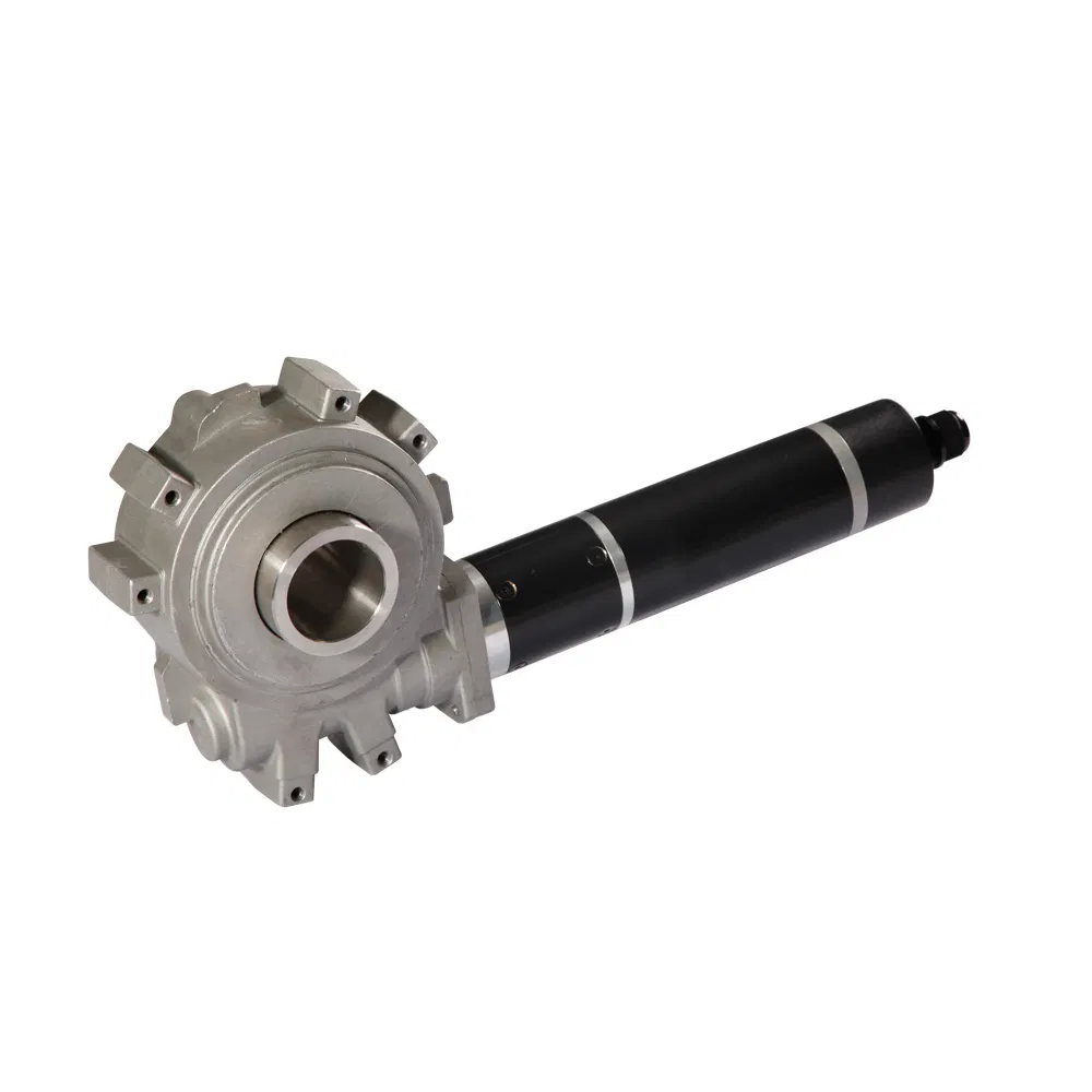 Dz84zyc11 Trailer Landing DC Spur Gear Motors with Transaxle