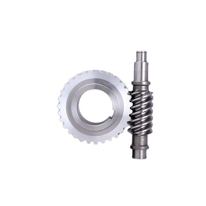 Worm Drive Set OEM Plain Nonstandard Wpae Worm Gear Box Brass Gear And Steel Motor Worm Gear Customized OEM Left 48volt Blm 0.2
