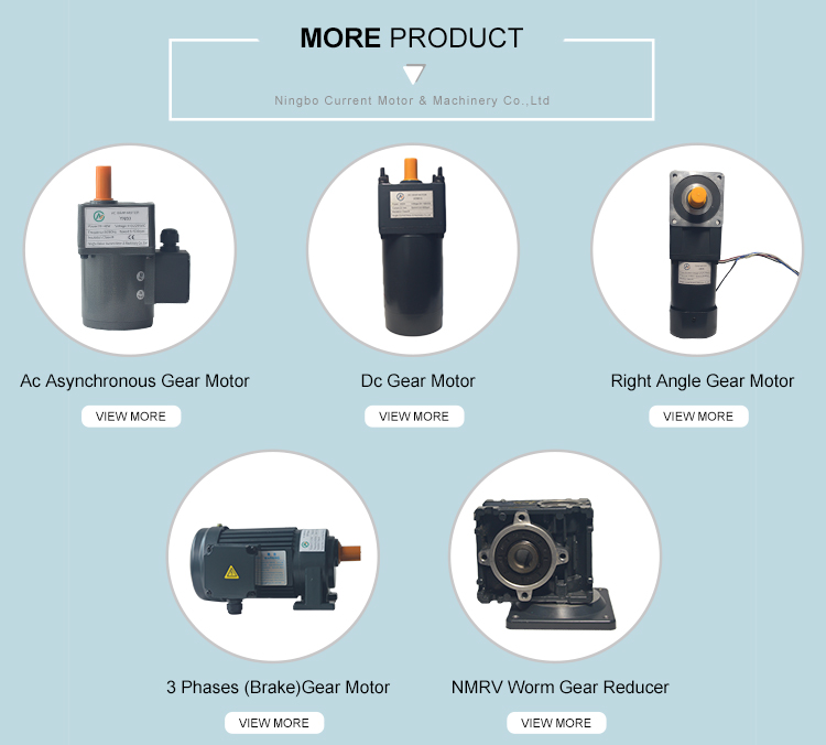Motor Varieties