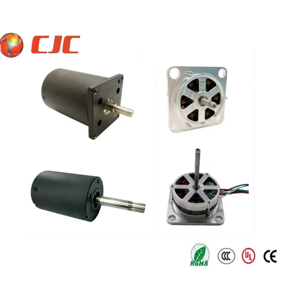 110V 120V 220V High Performance High Torque Micro Motor Electrical BLDC Brushless Motor DC AC Electric Bike for Chopper Blender/Mixer/Grinder Machine/Bicycle