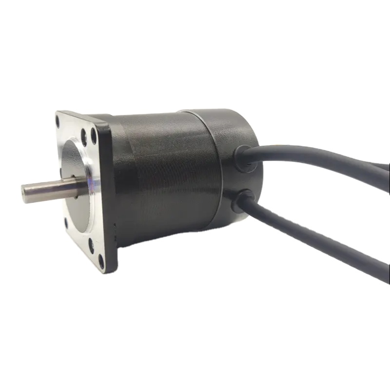High Torque 12v 24v 36v 48v Small PM Micro Dc Motor Customizable Performance Power 15w 30w 50w 75w 100w 200w 300w BLDC Motor