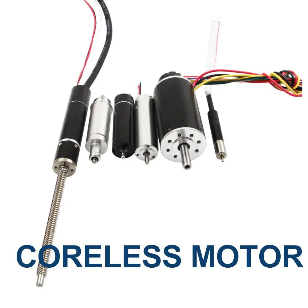 Brushless DC Motor Detail 1