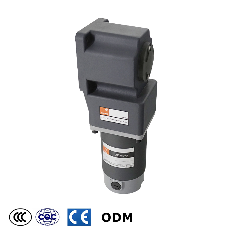 40W 60W 90W120W 180W 200W 250W High Torque Permanent Magnet 12V 24V Brush DC Electric Gear Motor