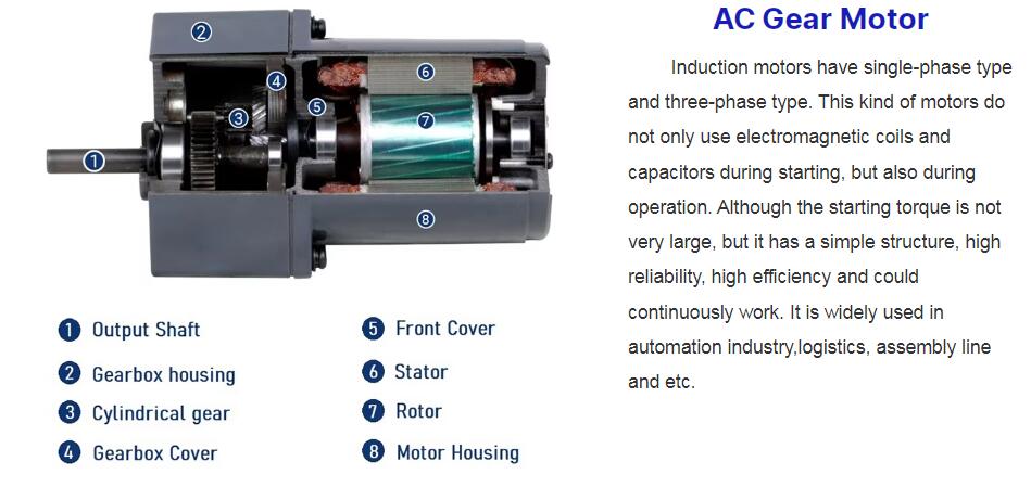 DC Gear Motor Detail