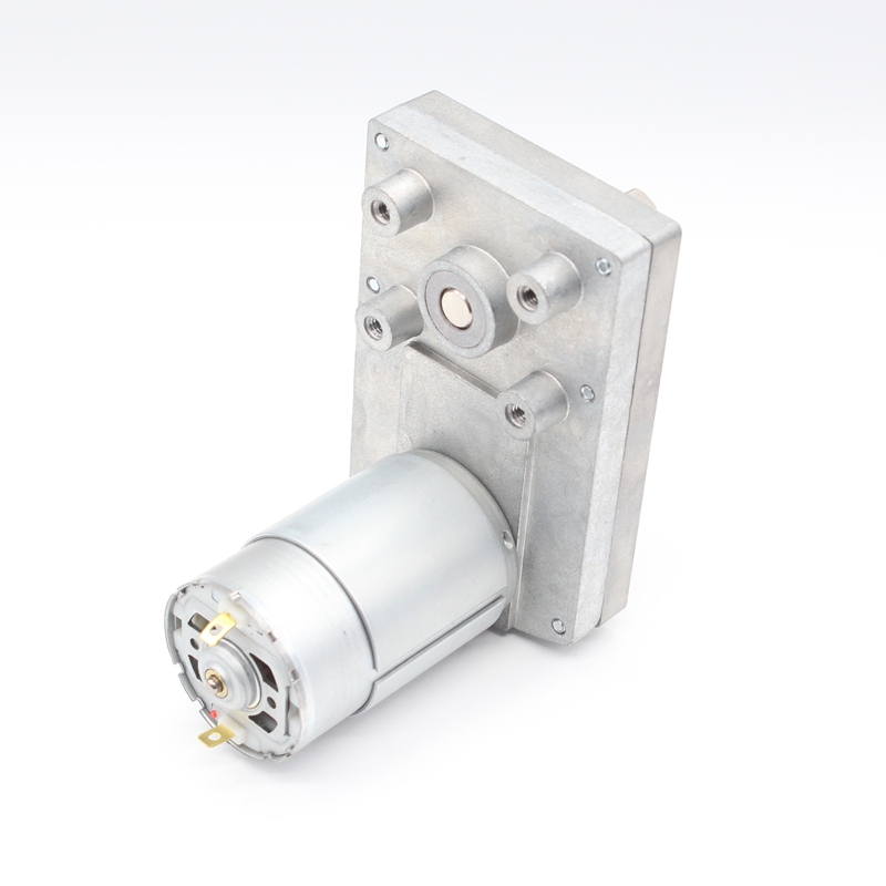 Brushed High Quality Low Rpm DC Spur Gear Motor