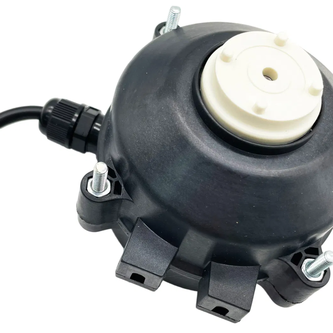 Motor detail 1