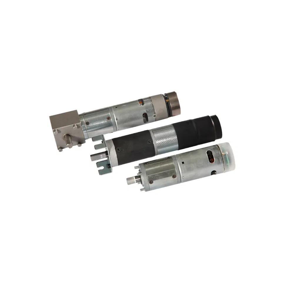 Dz84zyc11 Trailer Landing DC Spur Gear Motors with Transaxle