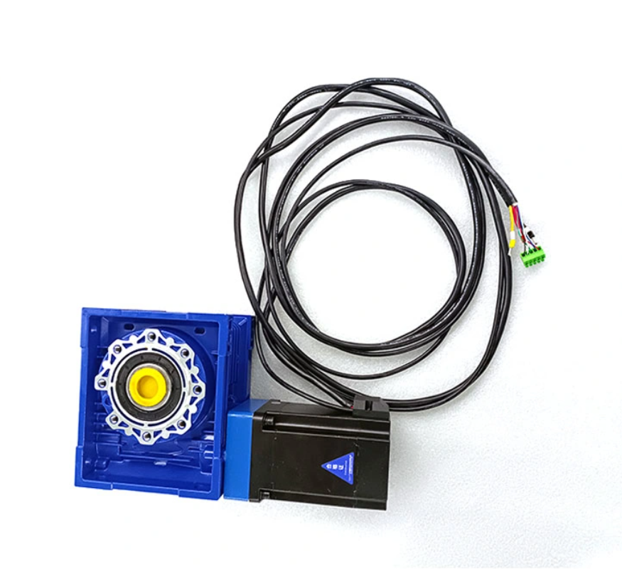 12V 24V 48V Rated Volt 3000rpm BLDC Worm Gear Motor for Home Appliance and Cosmetic Instrument Machine Motor Factory