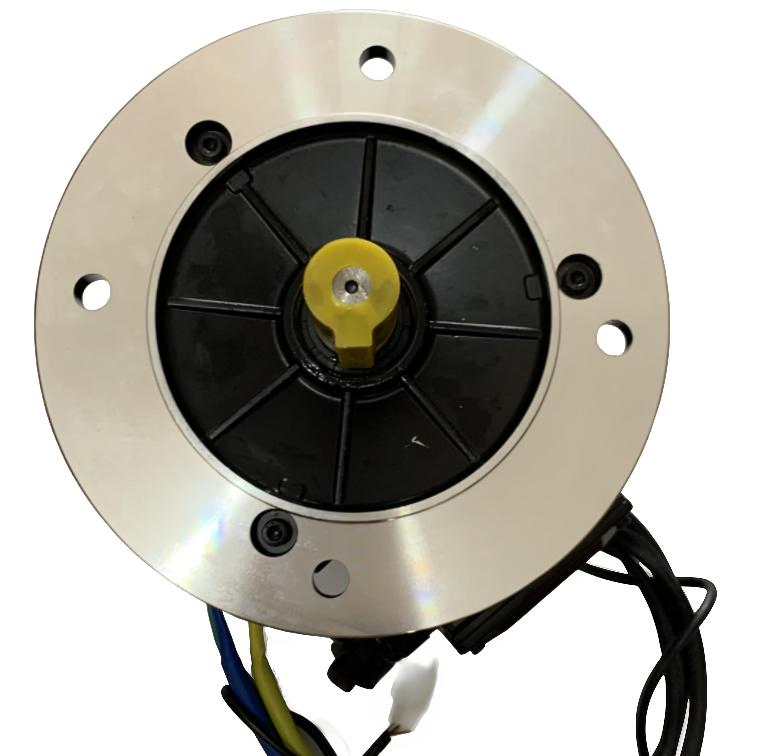 1500rpm High Power Electric Servo DC AC Brushless BLDC Electrical Worm Gear Motor 24V 48V 1kw 10kw