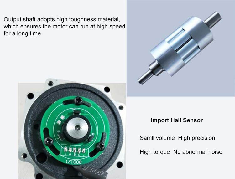Brushless Motor Detail 1