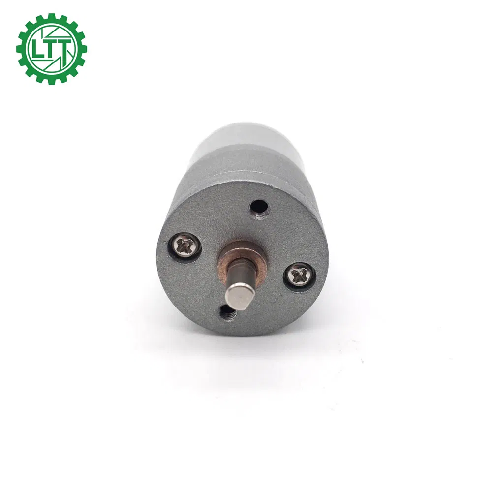 25mm DC Gear Motor Permanent Magnet 6V 12V 24V 310 Motor with Spur Metal Gearbox