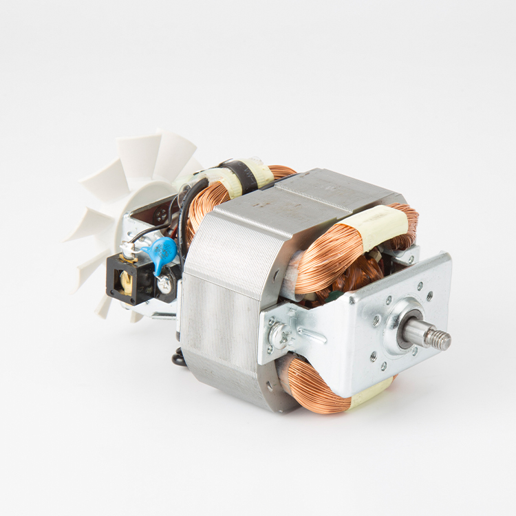 China Manufacture Brushless AC Motor for Hair Dryer with Stable Quality