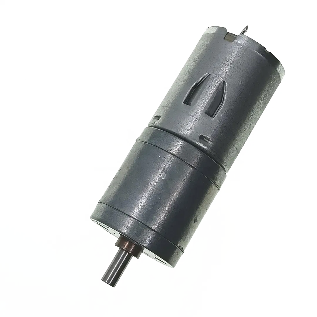 Spur Brushed DC Gearmotor 25mm Diameter 12V 24V Mini Electric DC Gear Motor