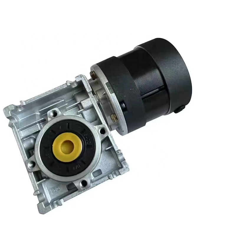 High Torque Brushed or Brushless Dc Worm Gear Motor 24v 12v 36v 48v With NMRV Right Angle Gearbox 50w 100w 200w 300w 350w 500w