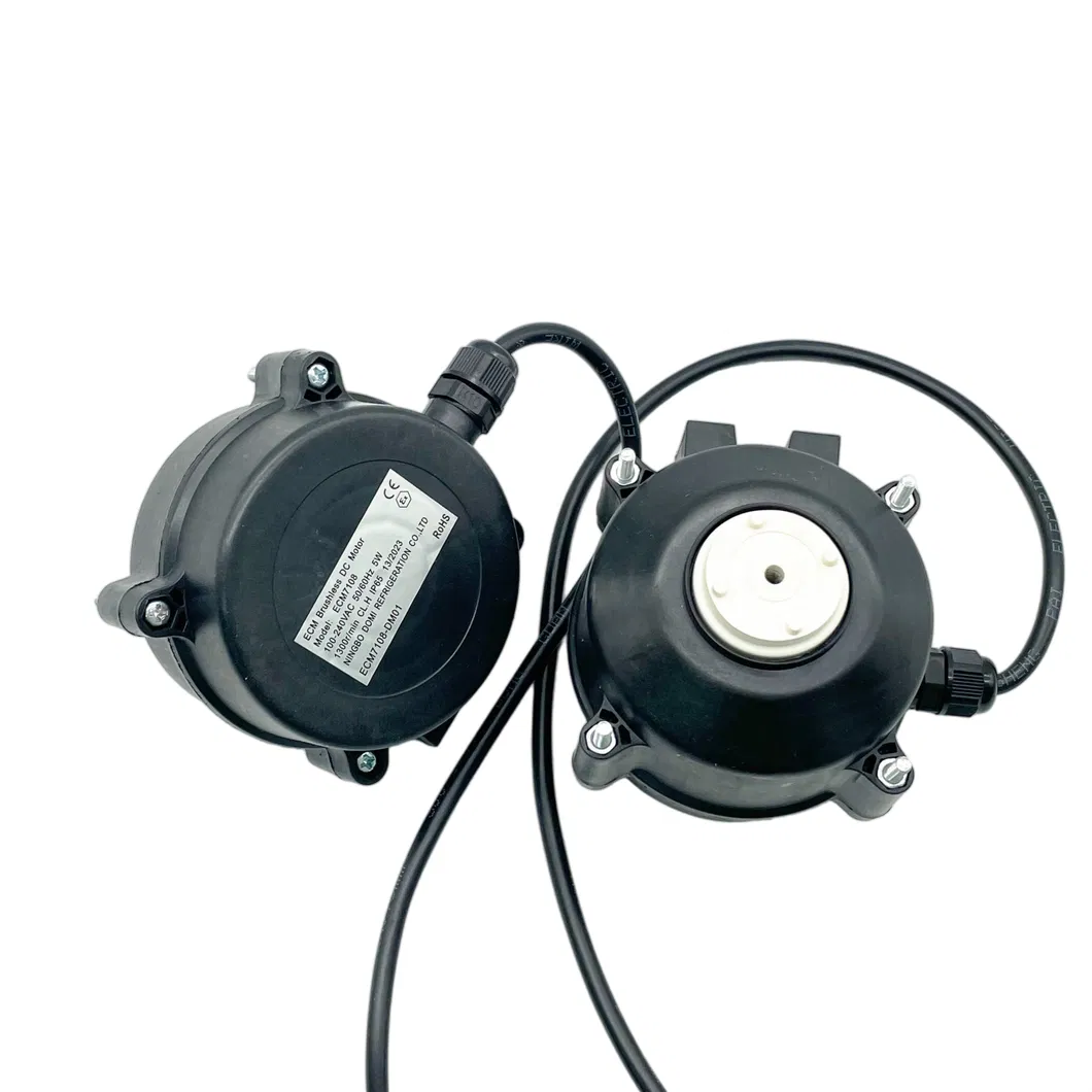 Motor detail 4