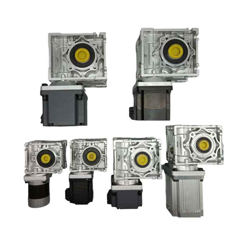 High Torque 24V 60W 120W 200W 250W Brushless DC Worm Gear Motor RV Self-locking for Lawn Mower