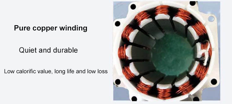 Brushless Motor Detail 2