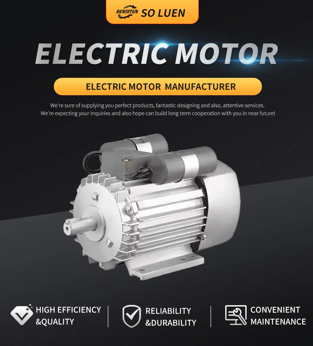 Electric AC Motor