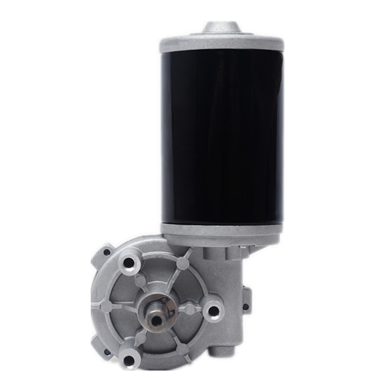12V/24V Beauty Bed DC Brushed Metal Spur Gear Motor with Encoder Metal Gear
