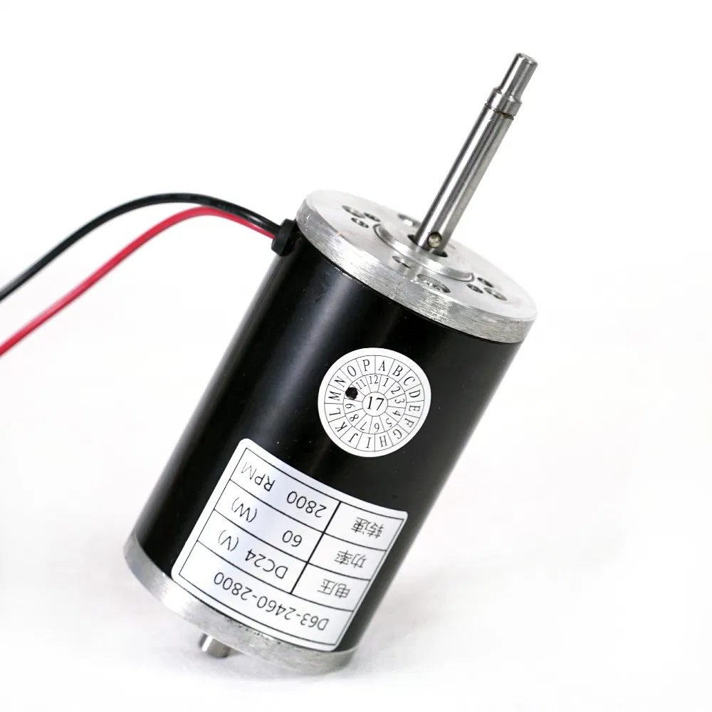 PMDC Brushed Electrical Micro Coreless DC Motor for Electric Vehicle