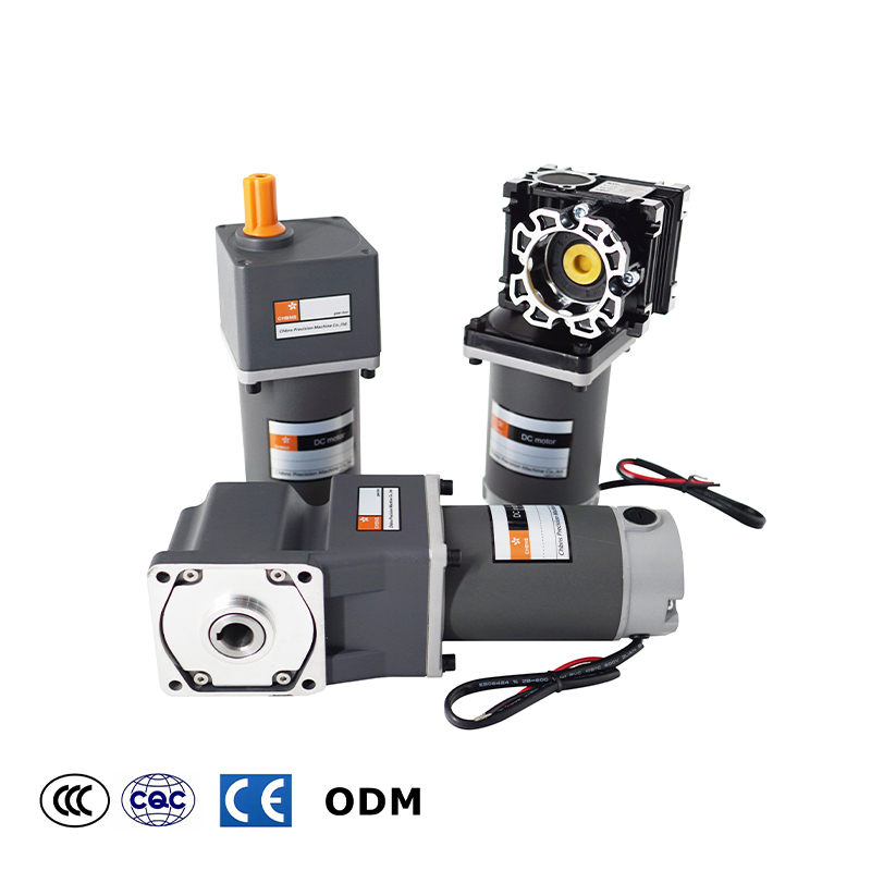40W 60W 90W120W 180W 200W 250W High Torque Permanent Magnet 12V 24V Brush DC Electric Gear Motor