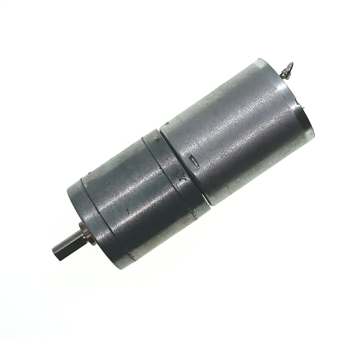 Spur Brushed DC Gearmotor 25mm Diameter 12V 24V Mini Electric DC Gear Motor