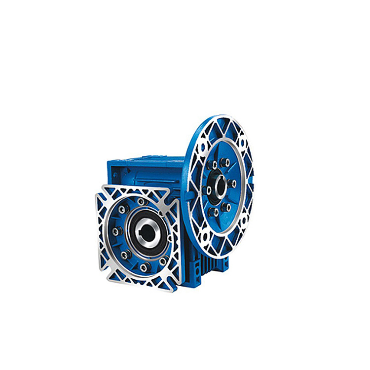 High Quality Double Worm Gear Speed Reducer With Electric Motor