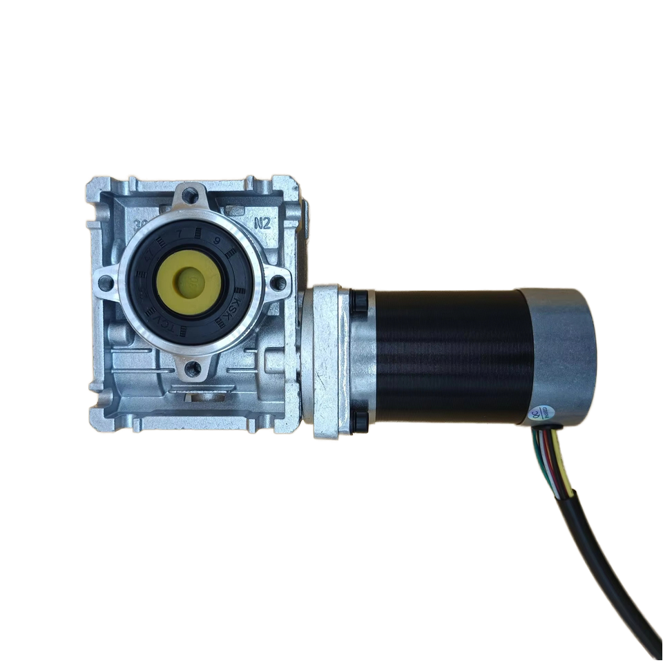 High Torque 24V 60W 120W 200W 250W Brushless DC Worm Gear Motor RV Self-locking for Lawn Mower