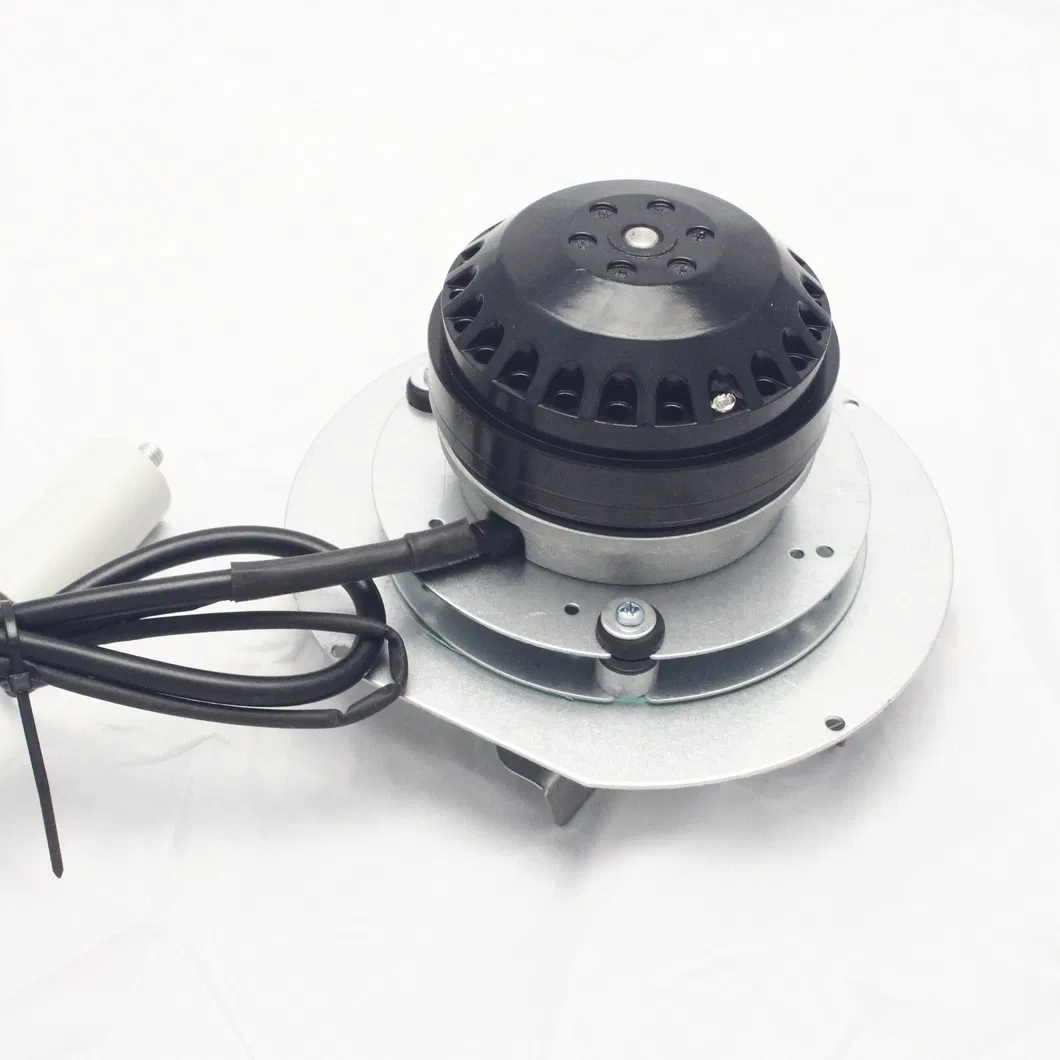External Rotor Motor 2