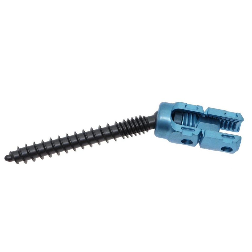 Polyaxial Double Thread Spine Titanium Pedicle Screws 5.5 Screw  Implants & Interventional Materials