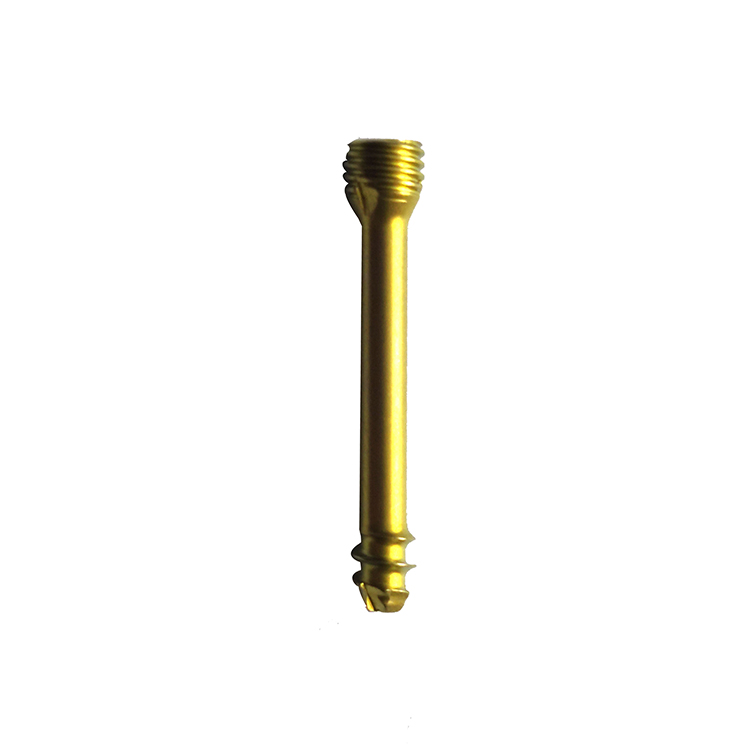 Factory Price Orthopedic Surgical Herbert Cannulated Screws Self Tapping Cortical Locking Screw Titanium Implant Surgical Screw