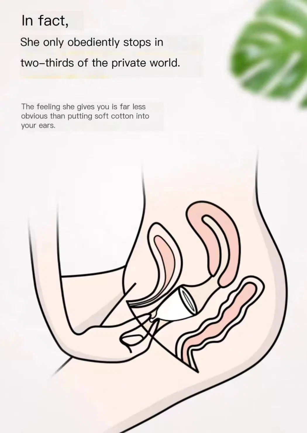Copa Menstrual 9
