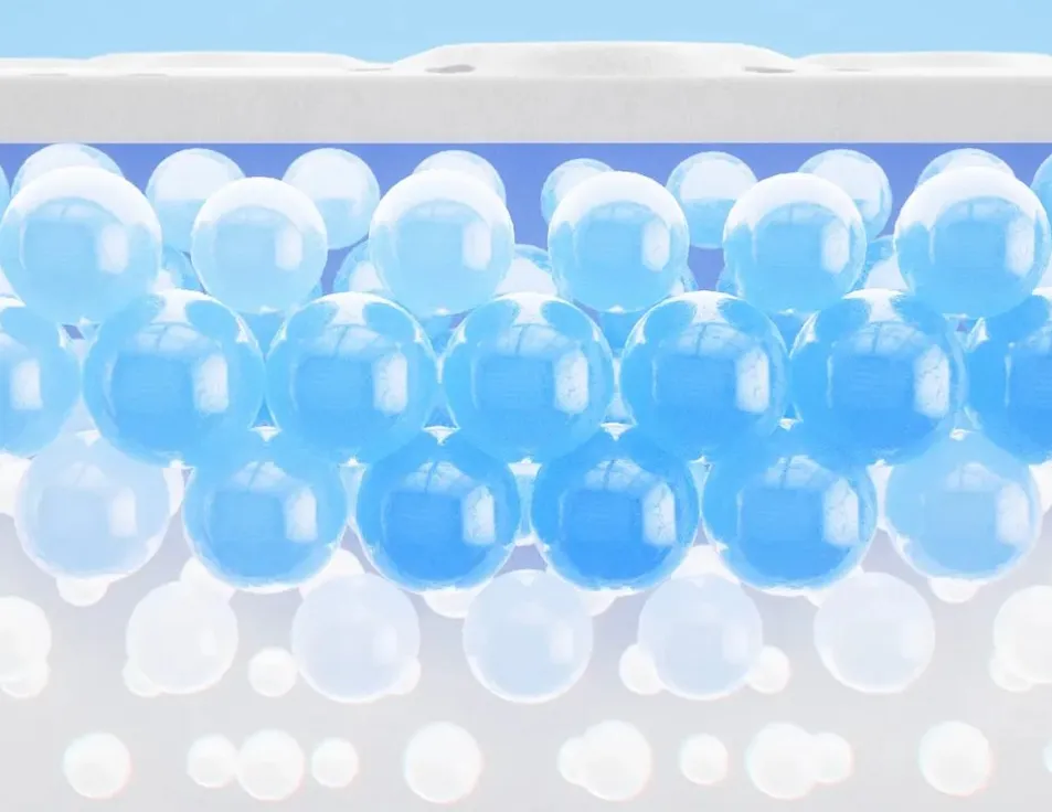 Prueba de absorción