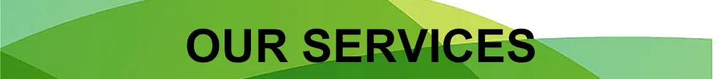 Services