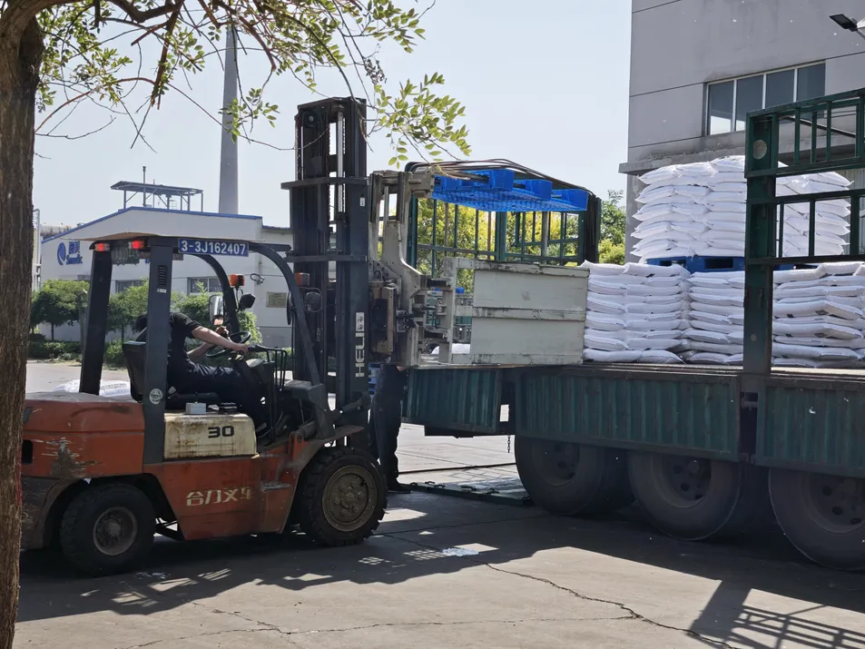 Embalaje del producto