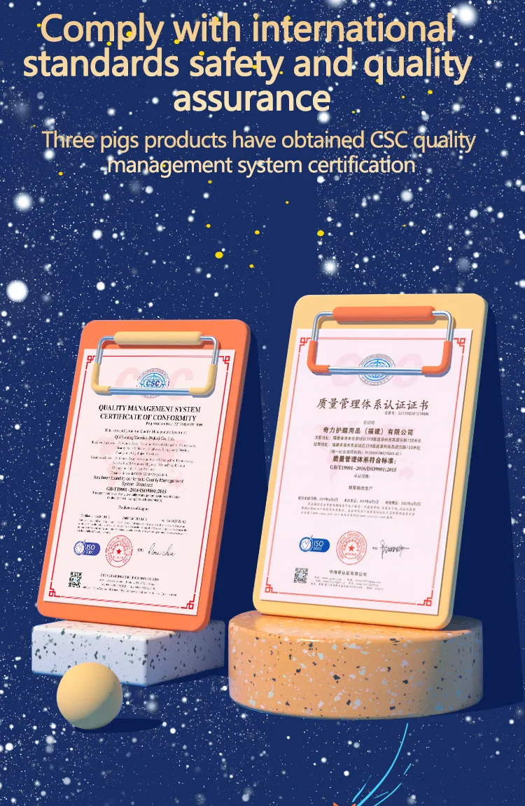 Certificado 2