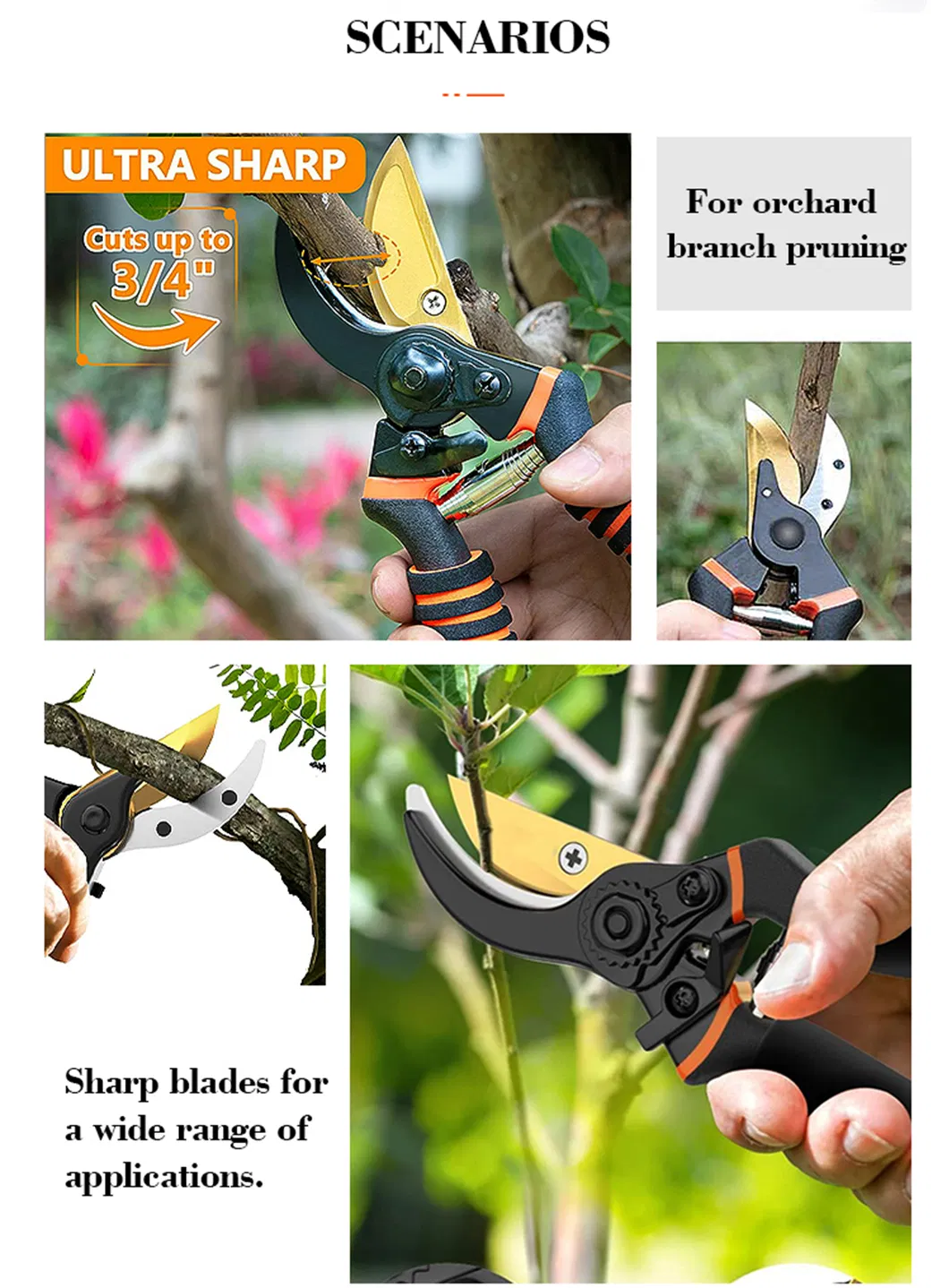 Pruning Shears Detail 7