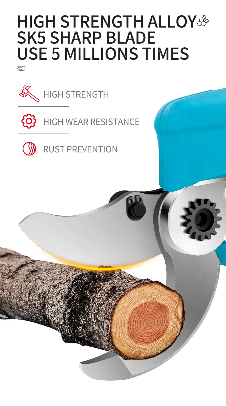 Pruning Shear Detail 12