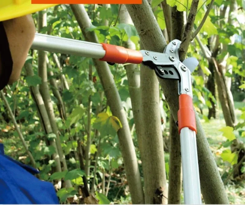 Gardening Tools Lopper