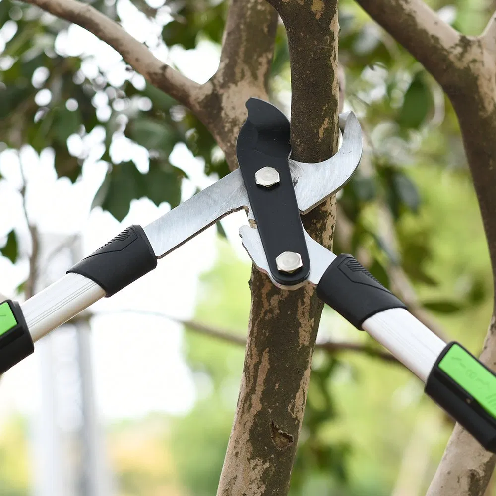 Winslow &amp; Ross Telescopic Garden Tools Looper High Branch Ratchet Extendable Anvil Loppers with Aluminum Handle