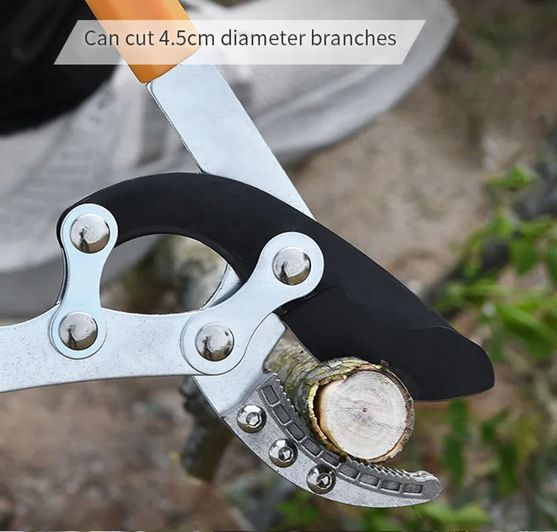 Pruner Detail 5