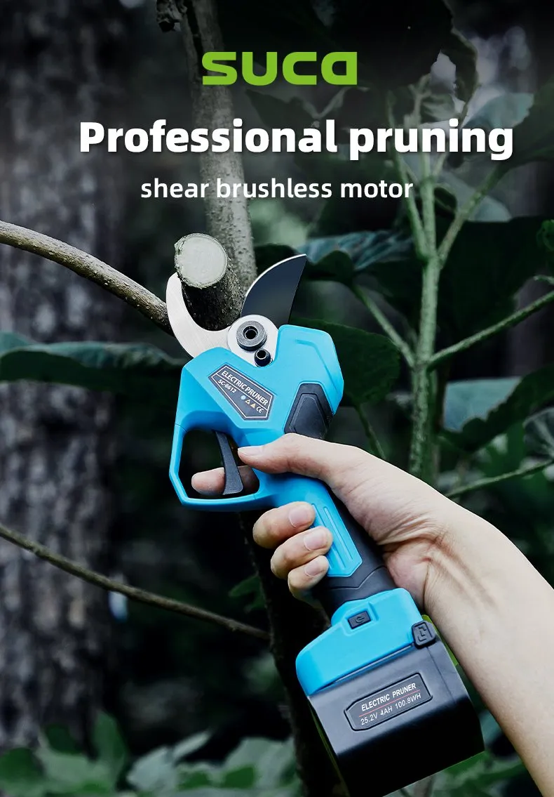 Pruning Shears Display 1