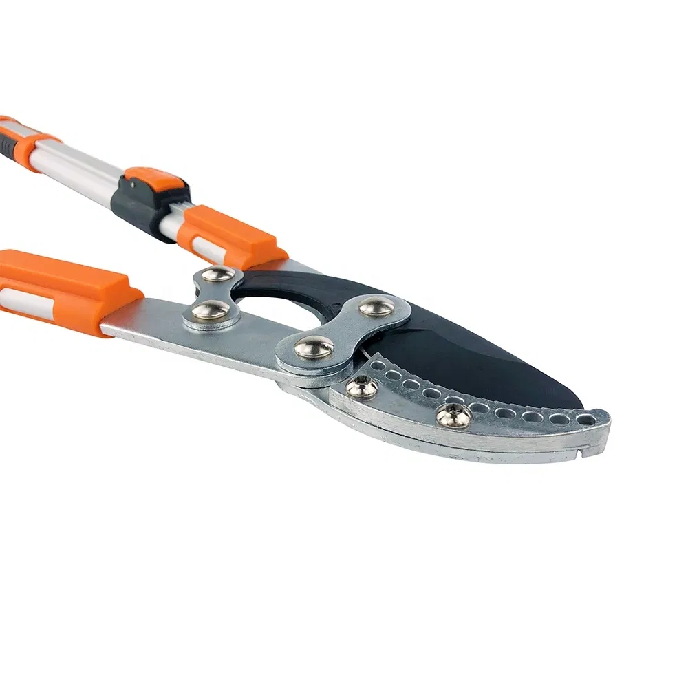 Garden Cutter Design 3