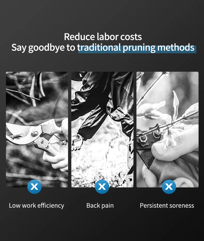 Pruning Shears Display 3