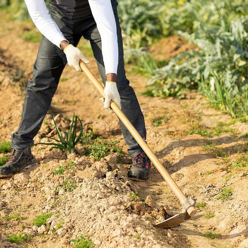 High Quality Garden Hoe Agricultural Hand Tools Hoe with Wooden Handle