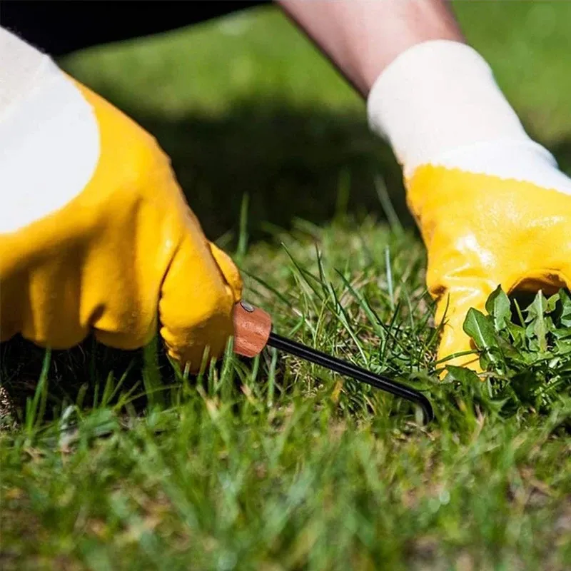 Gardening Tool Display 4