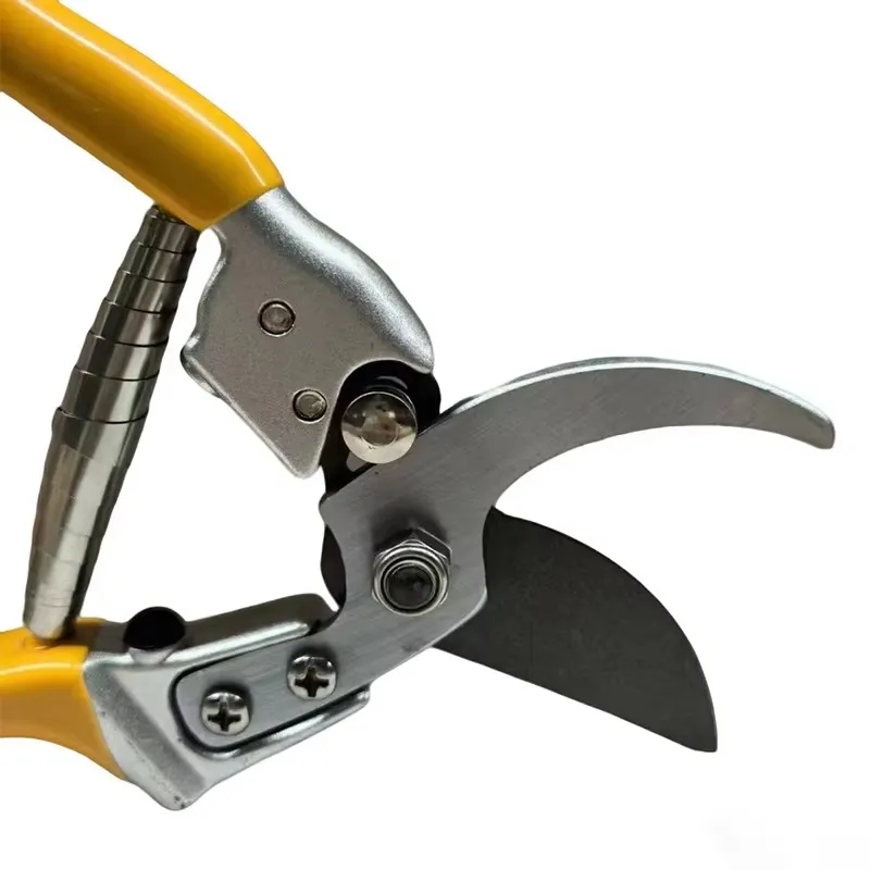 Pruning Shears Detail 5