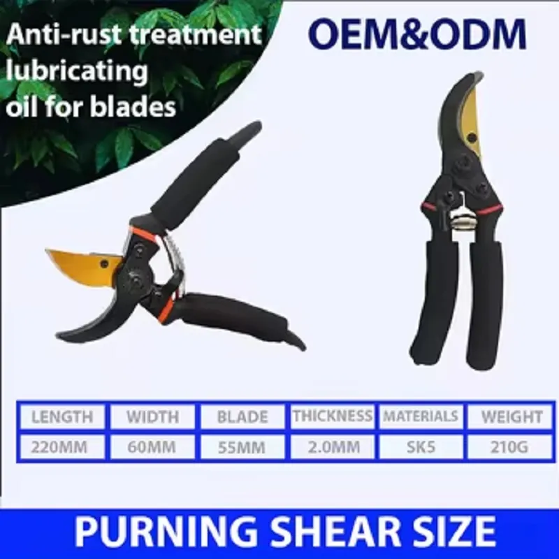 Pruning Shears Details